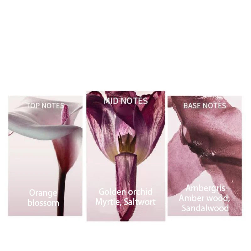 Floral Fruity Woody Perfume Spray,Clean Fresh Women Scent,Orange/Grapefruit/Freesia /Myrtle/Ambergris/Amber/Sandalwood Fragrance
